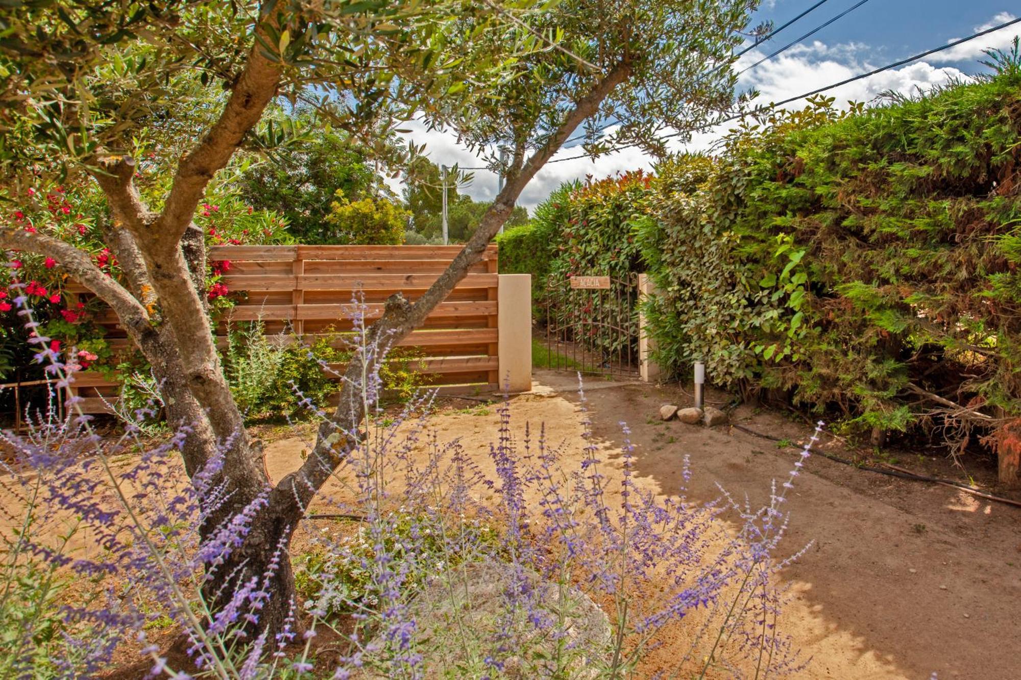 Residence Acquavital Calvi (Corsica) Exterior foto