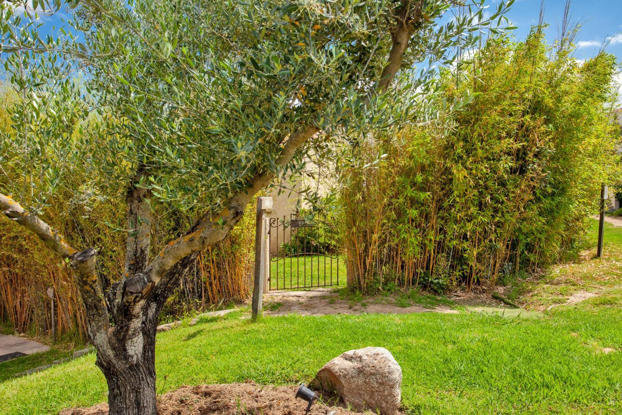 Residence Acquavital Calvi (Corsica) Exterior foto